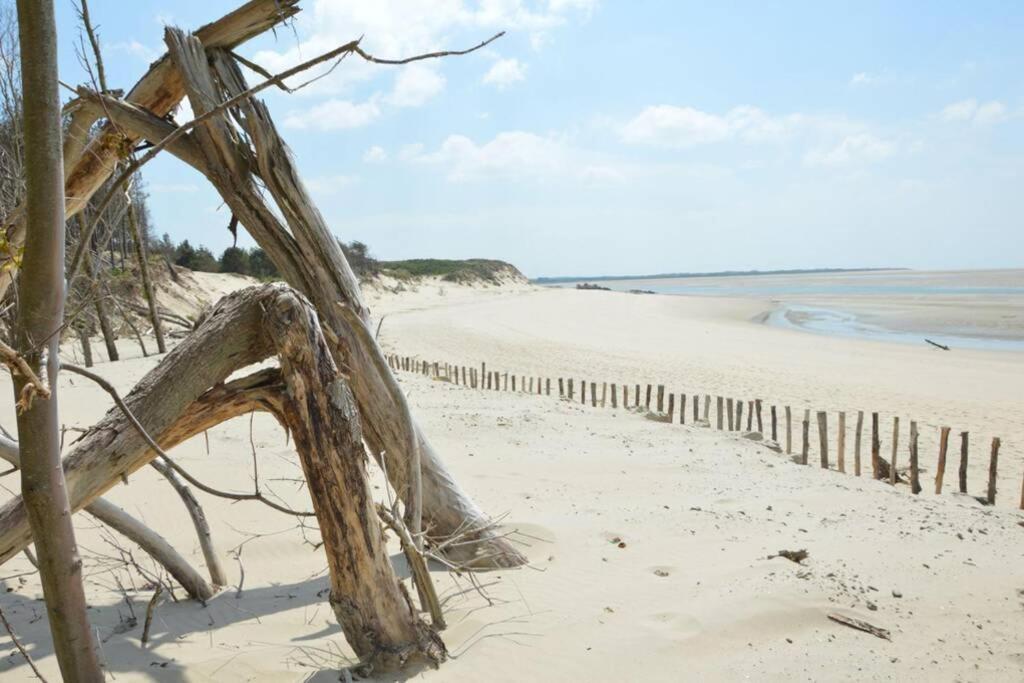 Kitesurf - 100M Plage - Deco Design Berck Bagian luar foto